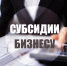Начало конкурсного отбора бизнес проектов  на предоставление субсидии в целях возмещения части затрат - Чусовской городской округ