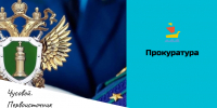 Утверждена форма решения СФР о порядке предоставления субсидии на государственную поддержку стимулирования найма отдельных категорий граждан - Чусовской городской округ