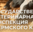 Государственная ветеринарная инспекция Пермского края уведомляет владельцев домашних животных - Чусовской городской округ